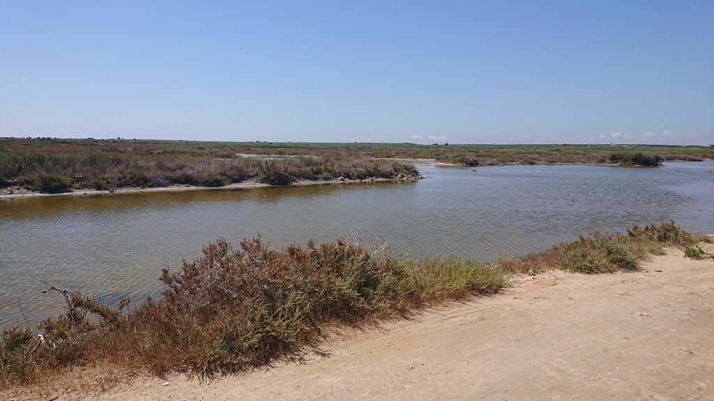 Capo Feto trazzera e acquitrini