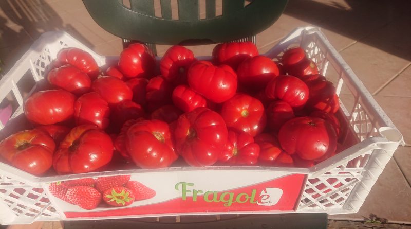 Asciugatelo