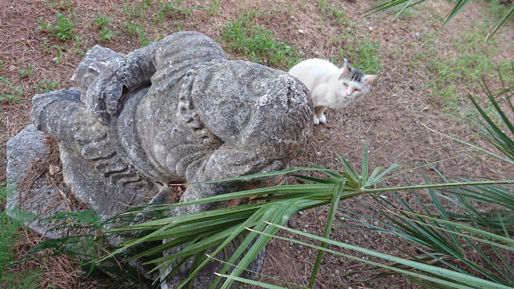Gattone fra le statue